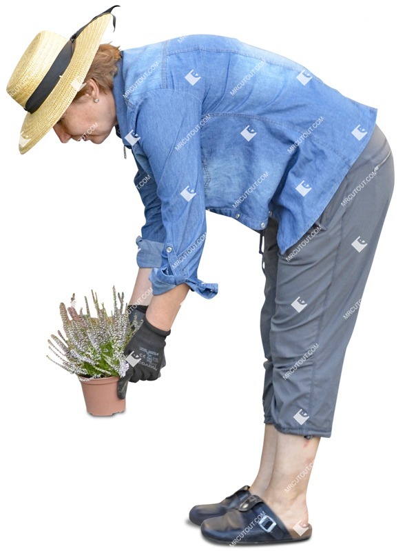 Woman gardening people png (3440)