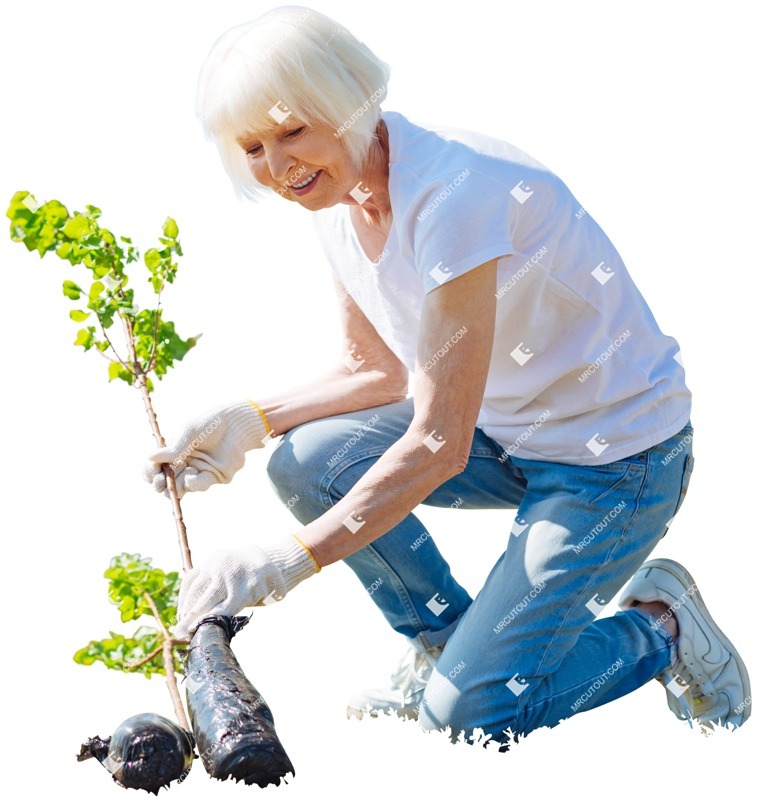 Woman gardening cut out people (4117)