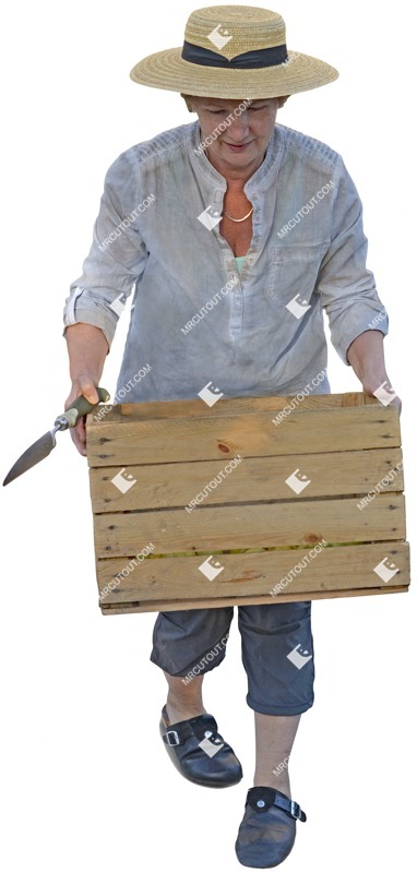 Woman gardening people png (3566)