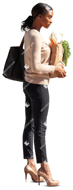 Woman shopping person png (10233)
