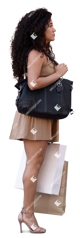Woman shopping people png (15213)