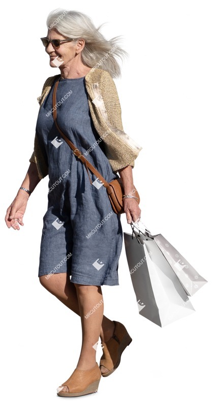Woman shopping people png (15379)