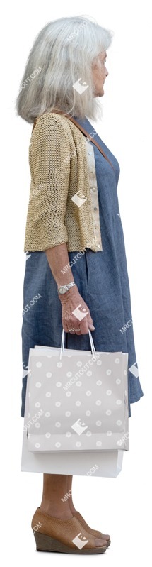Woman shopping person png (15770)