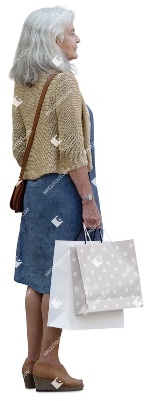 Woman shopping person png (15955)