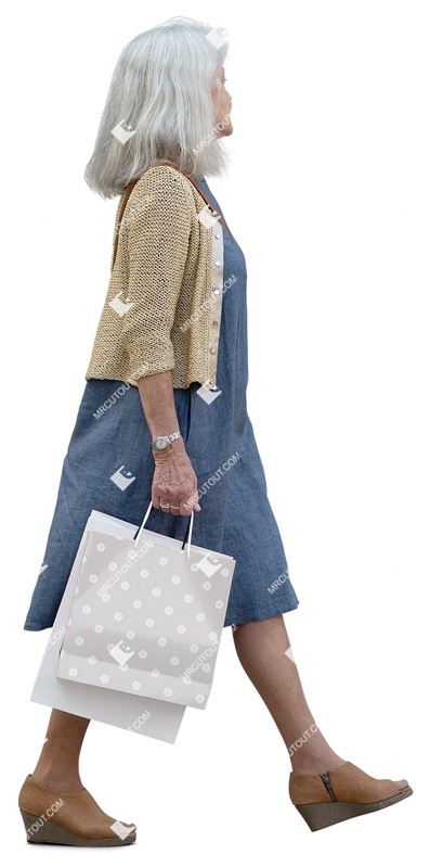 Woman shopping person png (15726)
