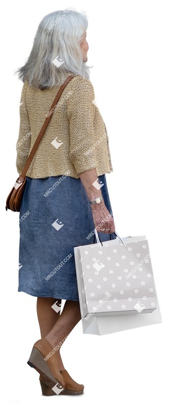 Woman shopping person png (15769)