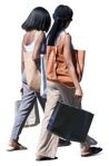 Woman shopping person png (16163) - miniature