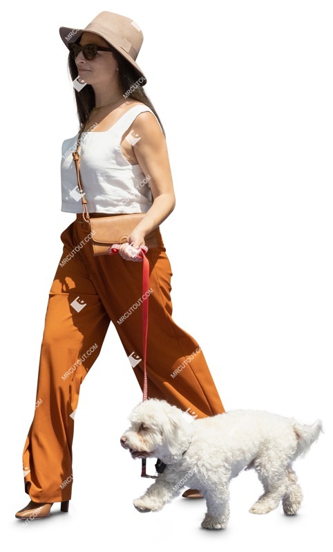 An elegant lady walking her dog during a summer day - human png